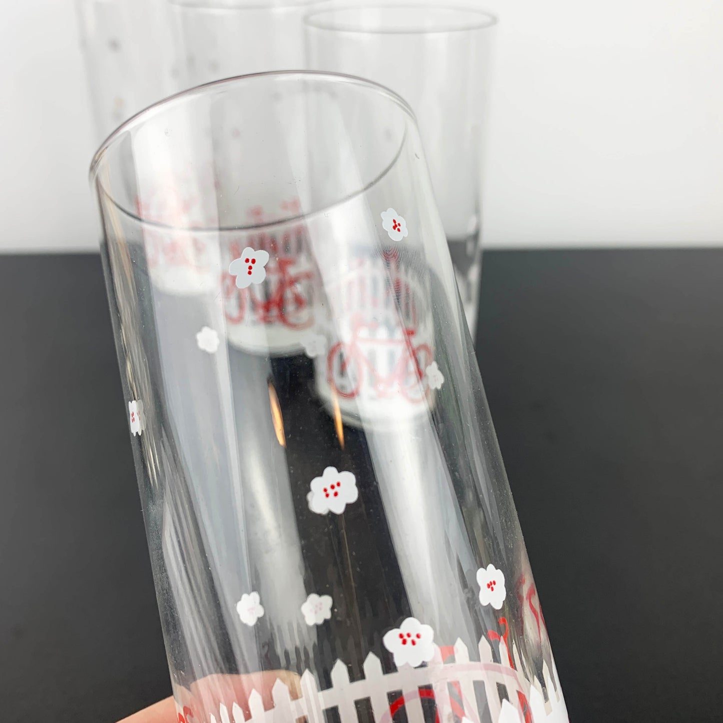 Cerve Italy Picket Fence and Bicycle Tumbler Set