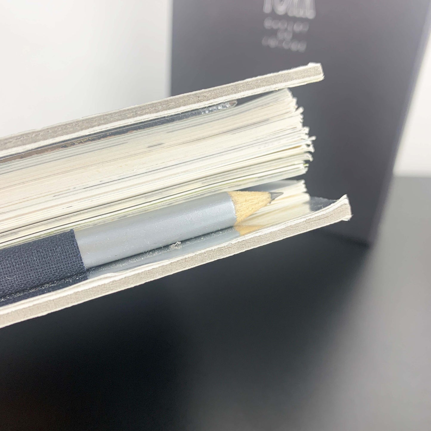 Louis Vuitton 'New York Carnet De Voyage' 1999 Ruben Toledo Travel Journal