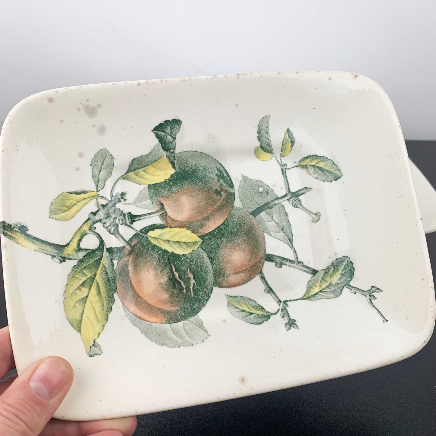 Brown Westhead Moore Tureen and Plate Set c.1880's