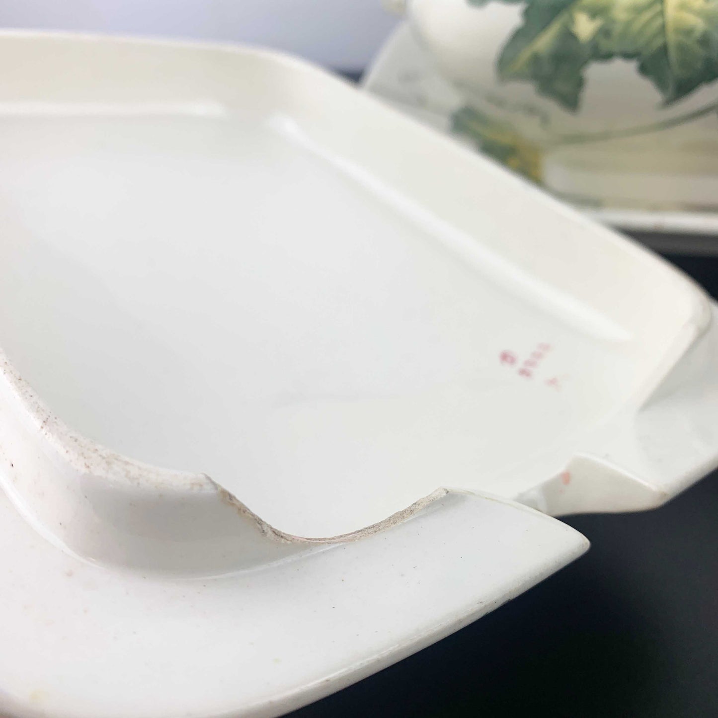 Brown Westhead Moore Tureen and Plate Set c.1880's