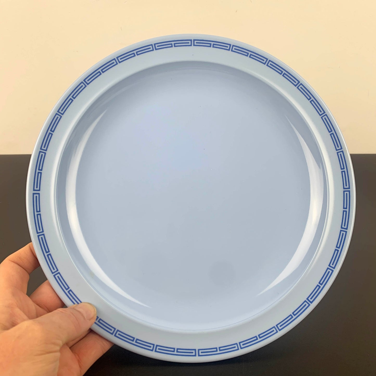 Nylex Australia Melamine Dinner Plate Sets