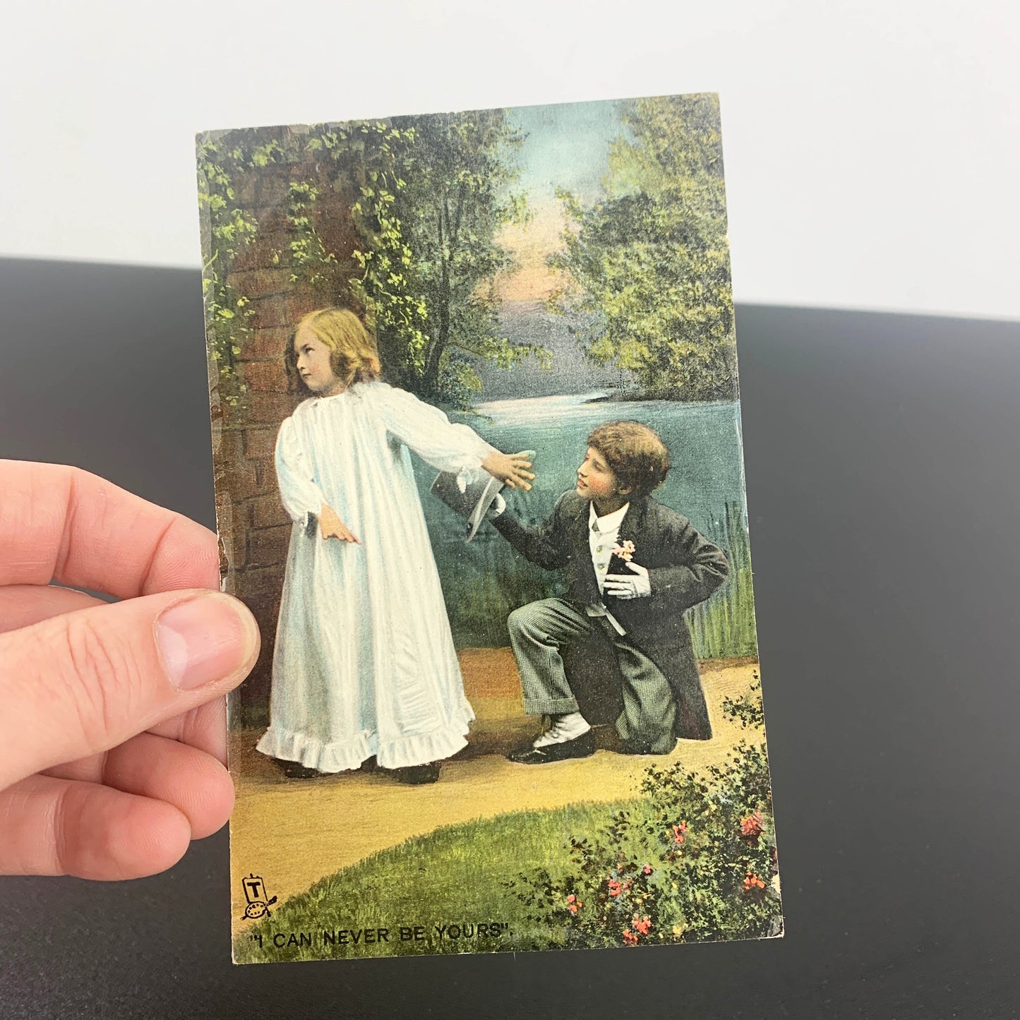 1908 Rapholette Postcard Collection 'Love's Young Dream'
