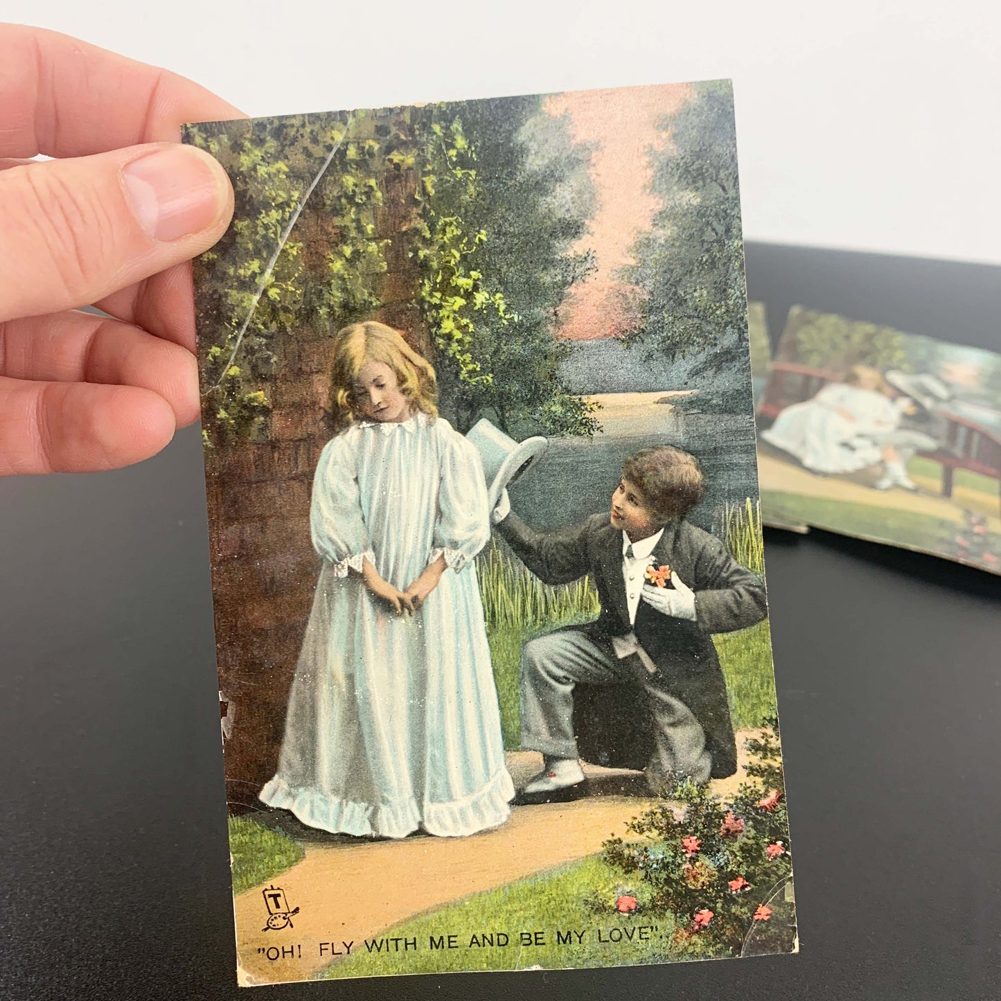 1908 Rapholette Postcard Collection 'Love's Young Dream'