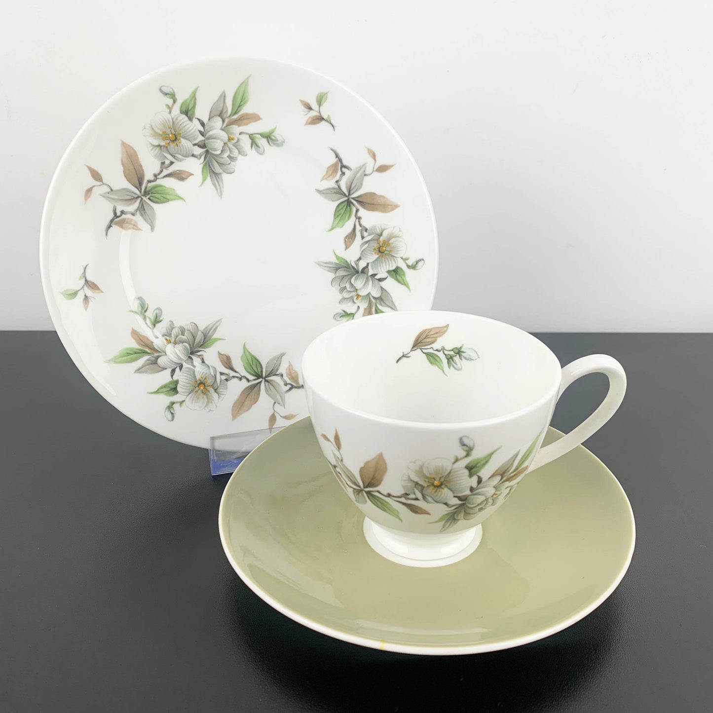 Ridgway Potteries Royal Adderley Arcadia Trio