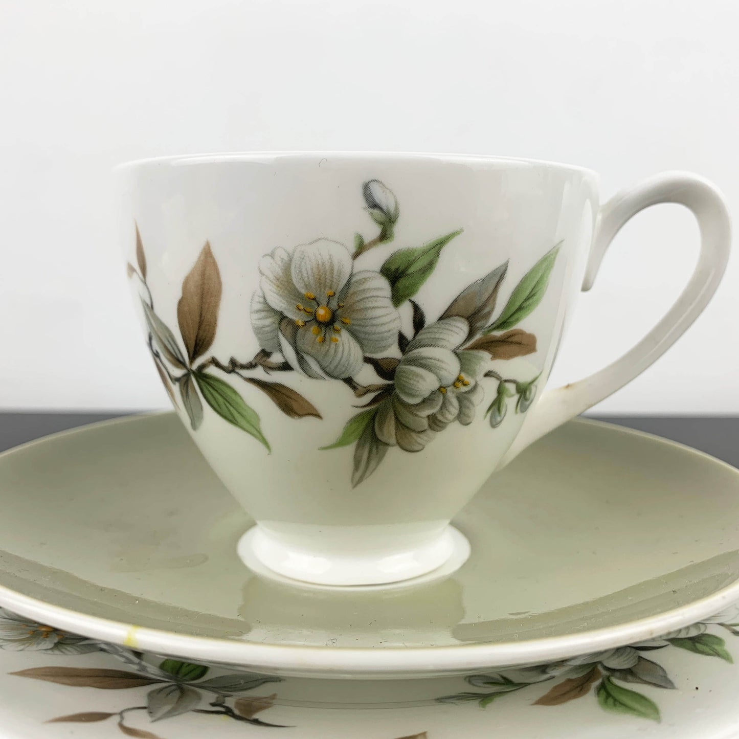 Ridgway Potteries Royal Adderley Arcadia Trio