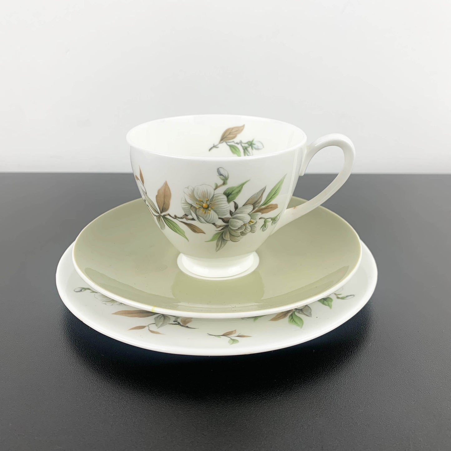 Ridgway Potteries Royal Adderley Arcadia Trio