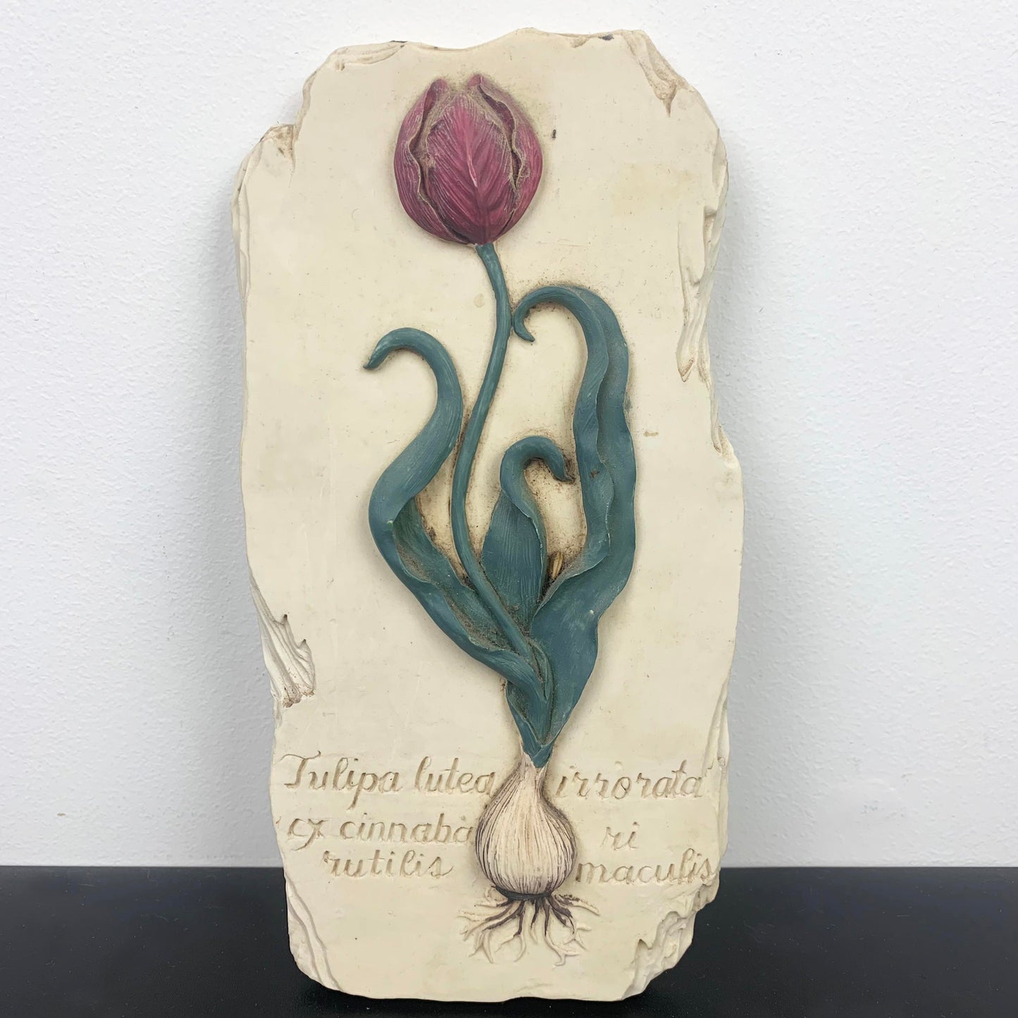 Tulip Botanical Wall Plaque