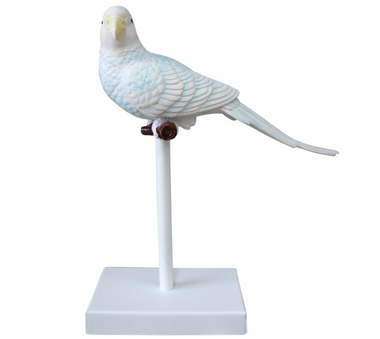Parrot on Perch Figural Ornament